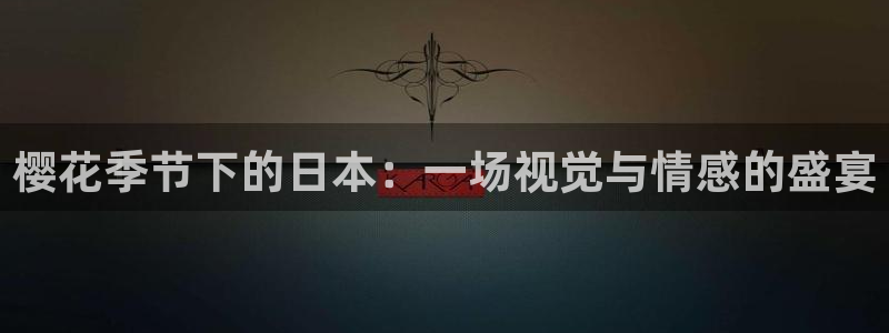 星空视频影视大全