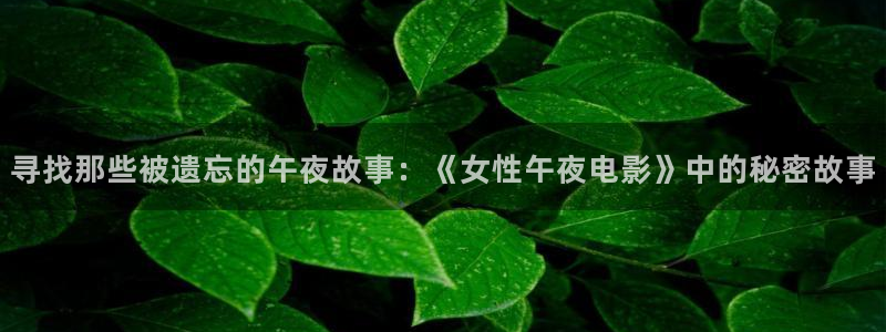 星空播剧
