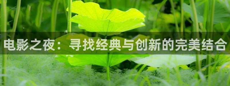 星空影视在线免费观看