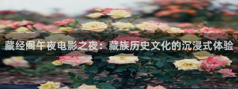 伊波拉病毒星空影视