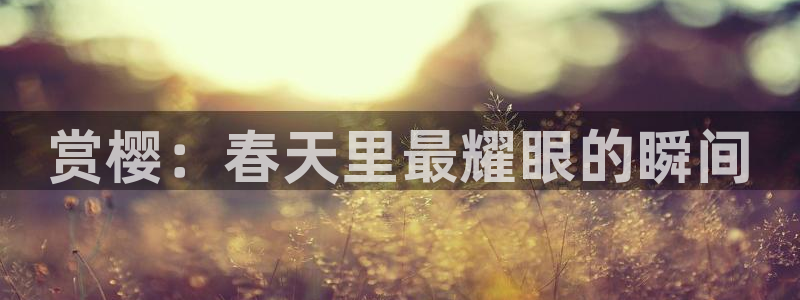 富县老湿影院今日影讯