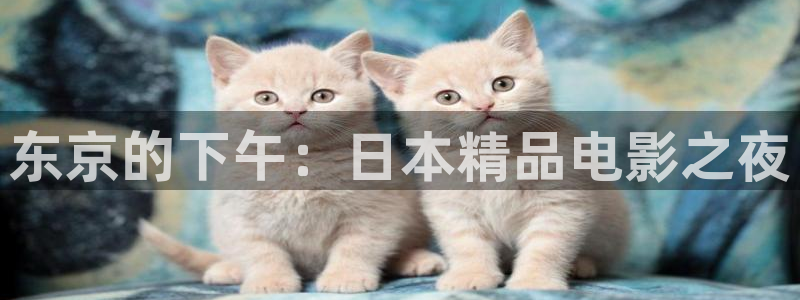 星空盒子影视