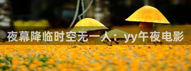 星空视频影视大全免
