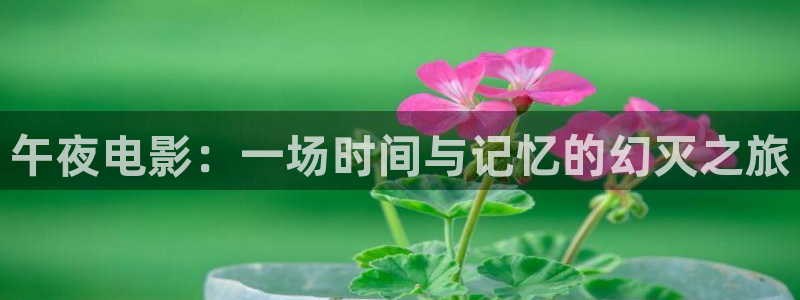 老湿影院免费版