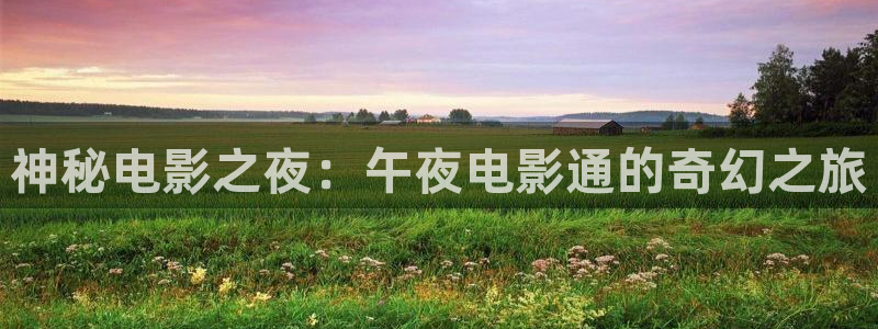 老湿影院高清电影电视剧免费观看