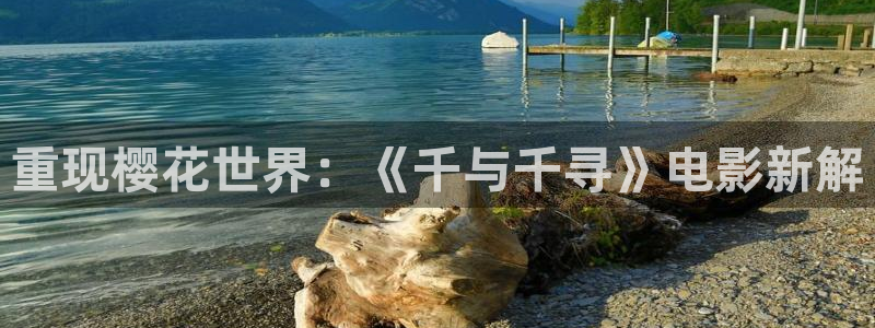 星空影视官网