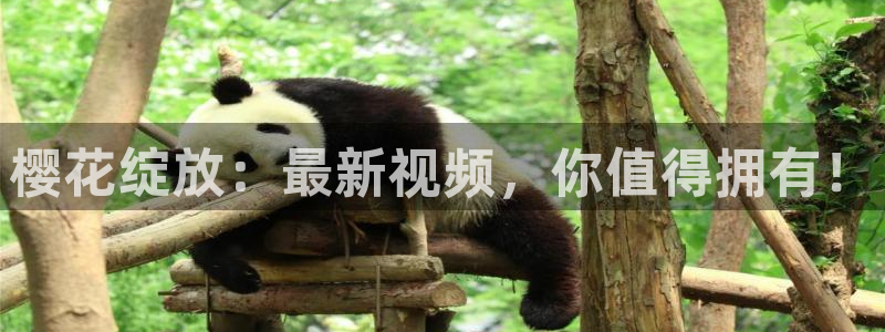 老湿影院2023