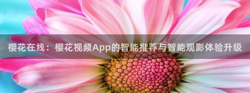 星空高清在线观看免费