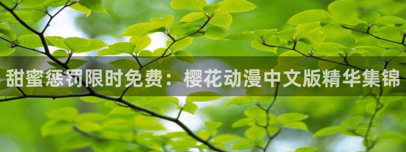 星空无限传媒免费观看电影