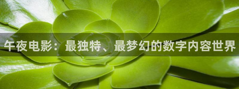 星空视频免费观看