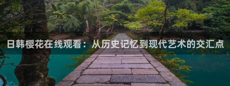 免费观看电视剧星空影视