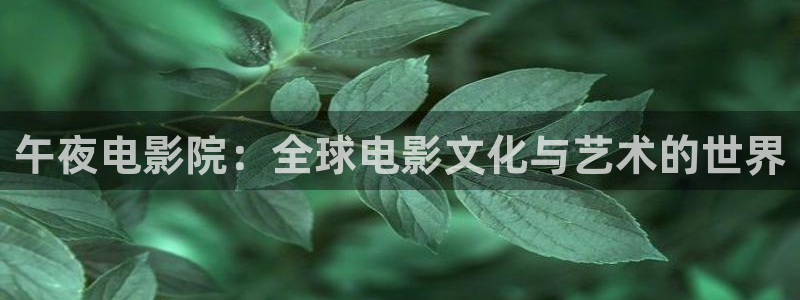 老湿影院大全在线观看免费观看电视剧