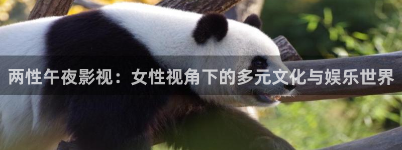 老湿影院电视剧免费大全