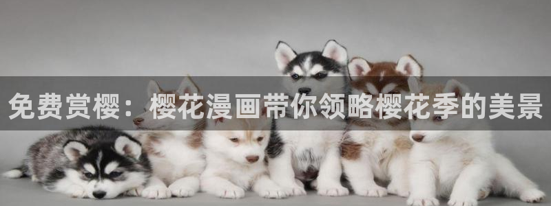 老湿影院在线观看免费高清下载