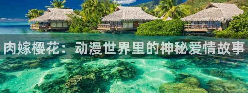 星空高清