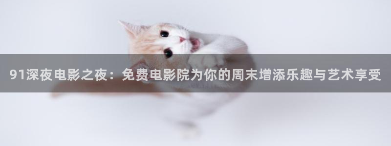 老湿影院在线播放免费观看高清