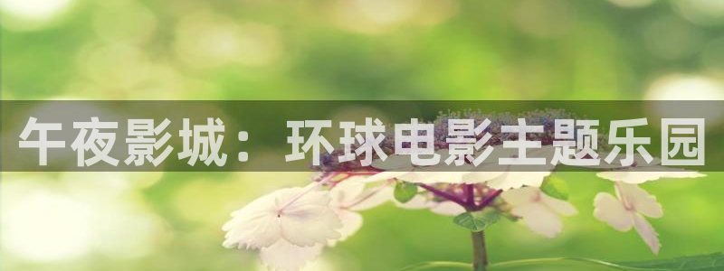老湿影院免